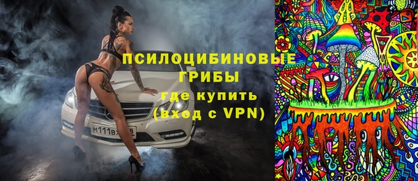 гашик Алзамай