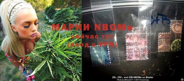 гашик Алзамай
