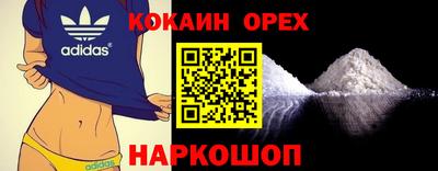бошки Шелехов