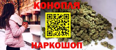 бошки Шелехов