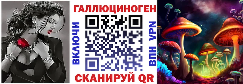 Псилоцибиновые грибы Psilocybine cubensis  Переславль-Залесский 