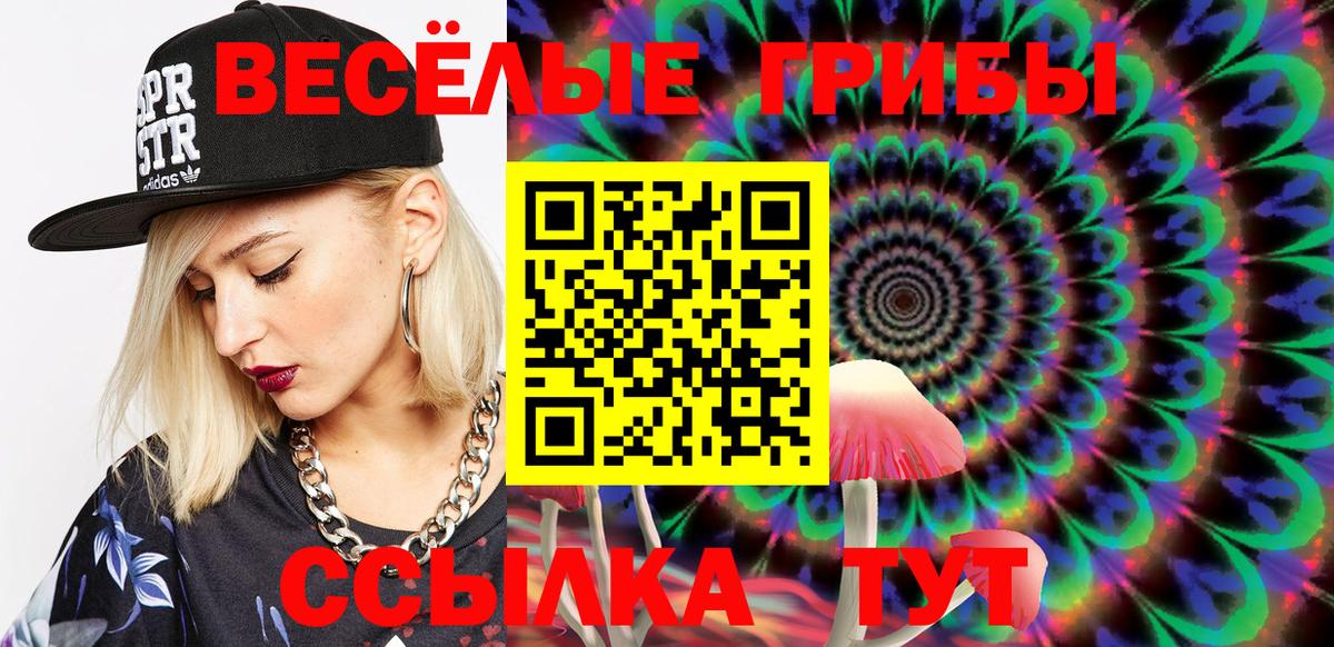 Переславль-Залесский  Псилоцибиновые грибы MAGIC MUSHROOMS  Вход с VPN 